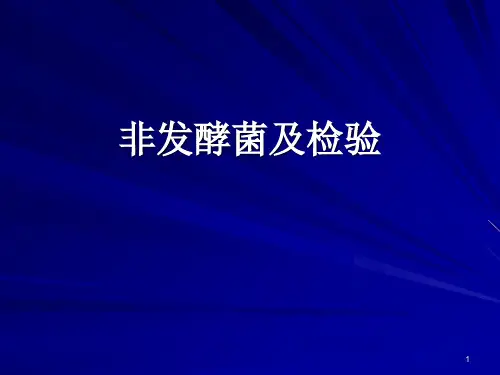 非发酵菌PPT课件