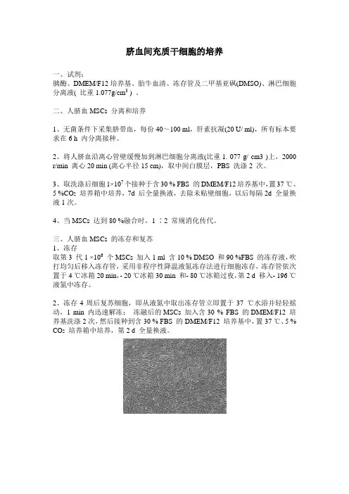 脐血间充质干细胞的培养