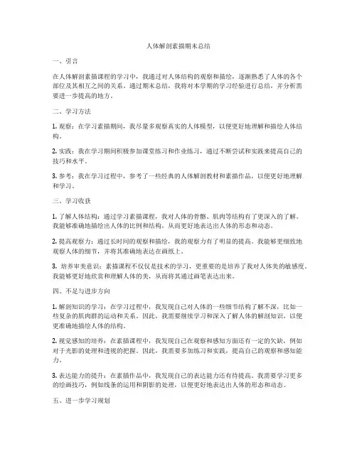 人体解剖素描期末总结