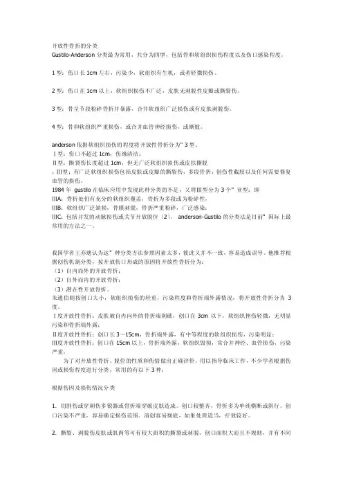 骨科分型——精选推荐