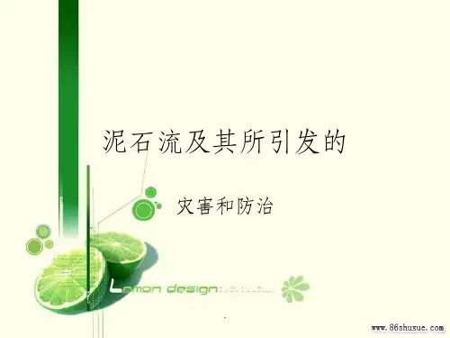 泥石流灾害及防治ppt课件