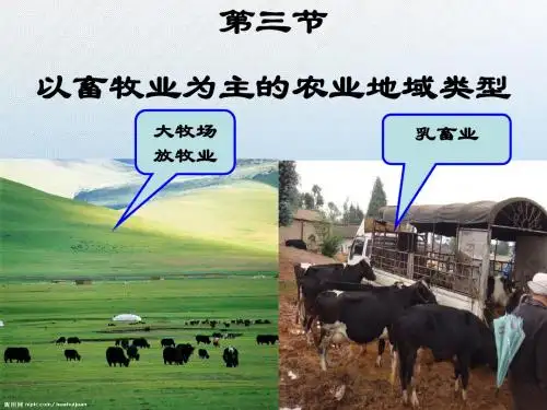 以畜牧业为主的农业地域类型 PPT课件10 人教版