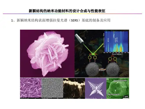 1、新颖纳米结构表面增强拉曼光谱（SERS）基底的制备及应用
