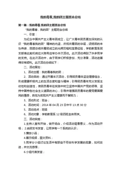 我的青春,我的团主题班会总结