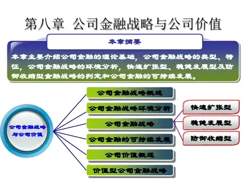 第八章公司金融战略与公司价值
