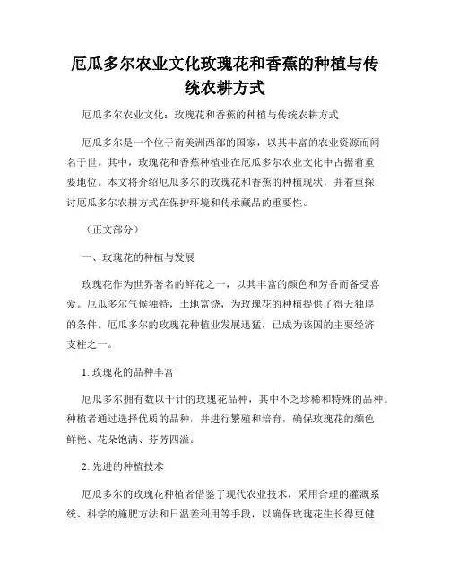 厄瓜多尔农业文化玫瑰花和香蕉的种植与传统农耕方式