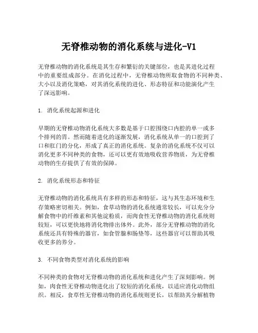 无脊椎动物的消化系统与进化-V1