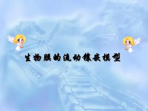 生物膜的流动镶嵌模型