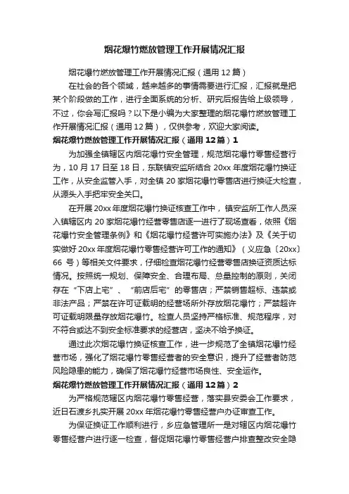 烟花爆竹燃放管理工作开展情况汇报