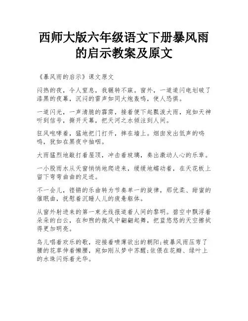 西师大版六年级语文下册暴风雨的启示教案及原文