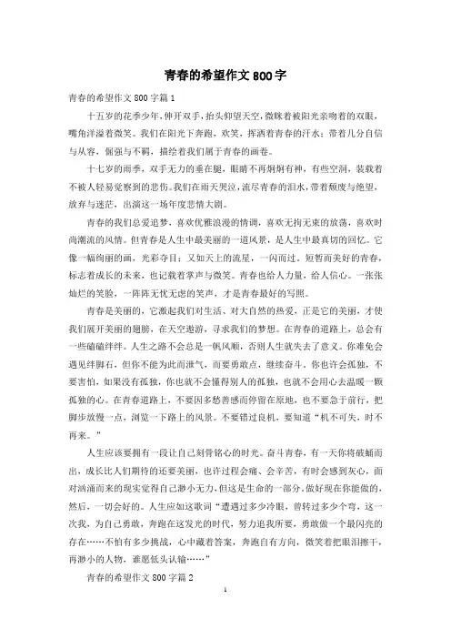 青春的希望作文800字
