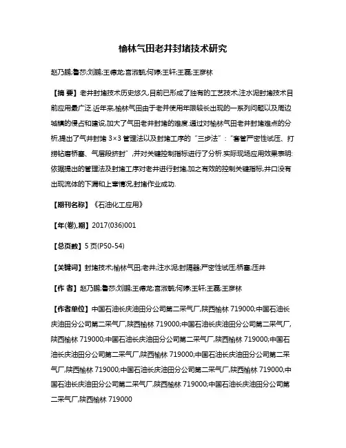 榆林气田老井封堵技术研究