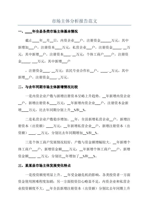 市场主体分析报告范文