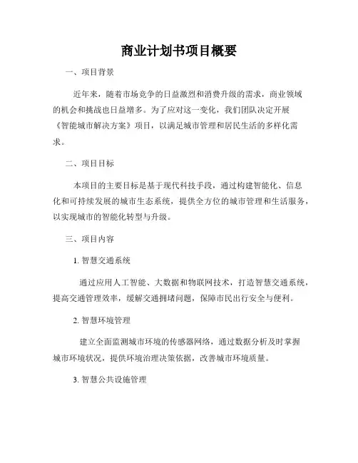 商业计划书项目概要