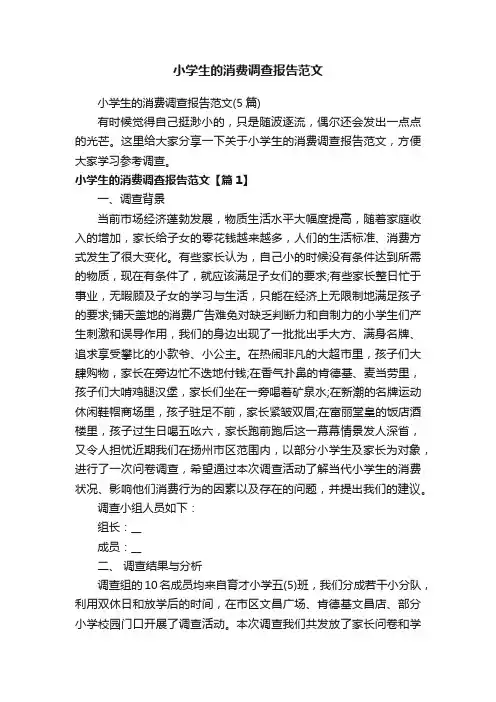 小学生的消费调查报告范文（5篇）