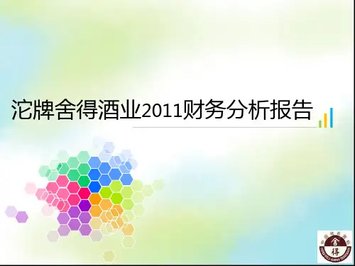 酒业财务分析报告
