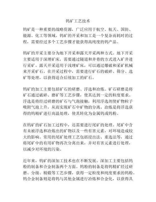 钨矿工艺技术