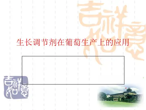 生长调节剂在葡萄生产上的应用.pptx