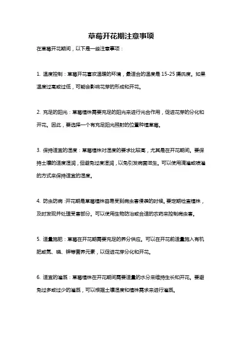 草莓开花期注意事项