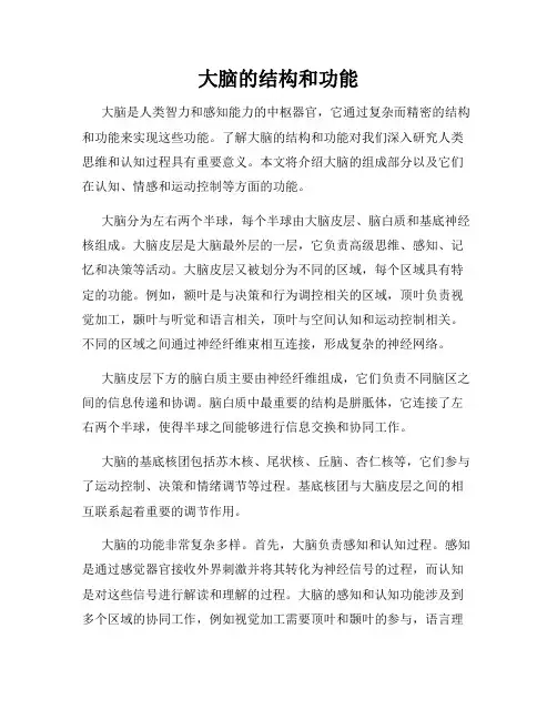 大脑的结构和功能