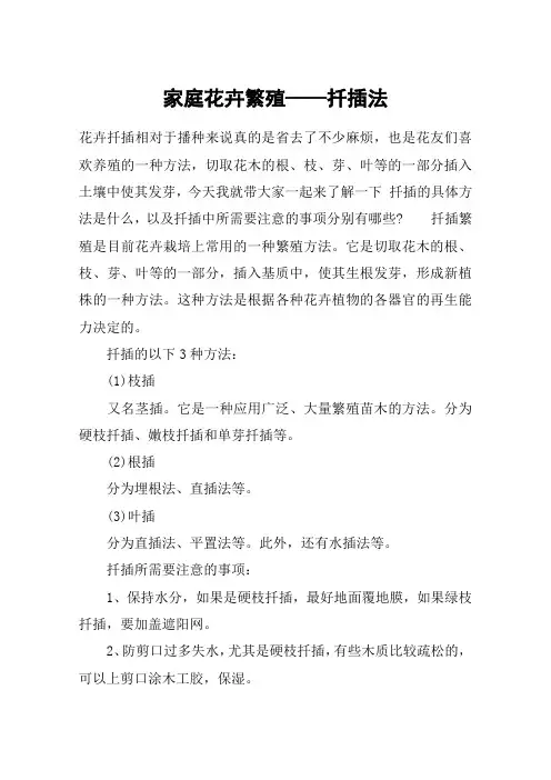 家庭花卉繁殖——扦插法