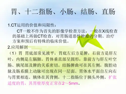 正常腹部CT解剖ppt课件