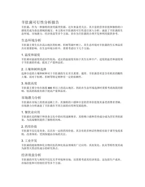 羊肚菌可行性分析报告