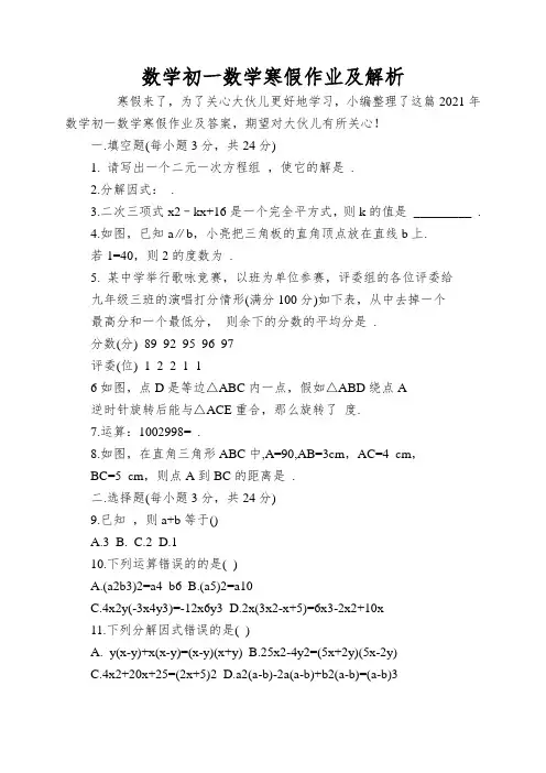 数学初一数学寒假作业及解析