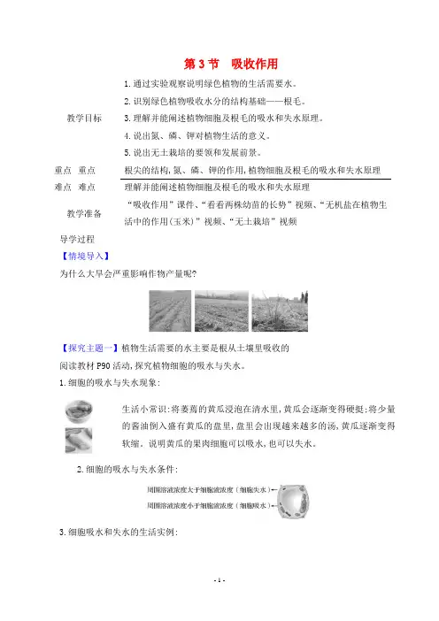 2024年北师大版七年级上册生物同步教案第3单元第4章第3节吸收作用