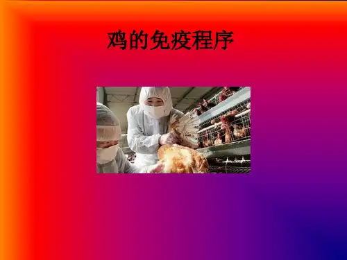 鸡的免疫系统 ppt课件