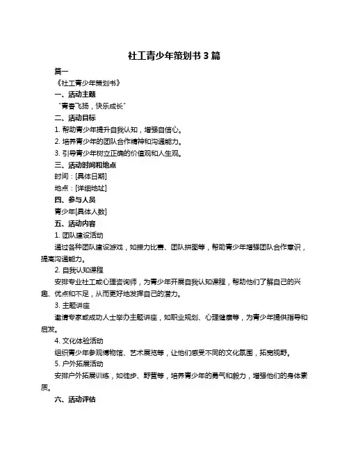 社工青少年策划书3篇