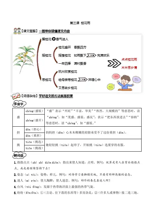 3-《桂花雨》五年级语文上册 含答案 部编版学生版