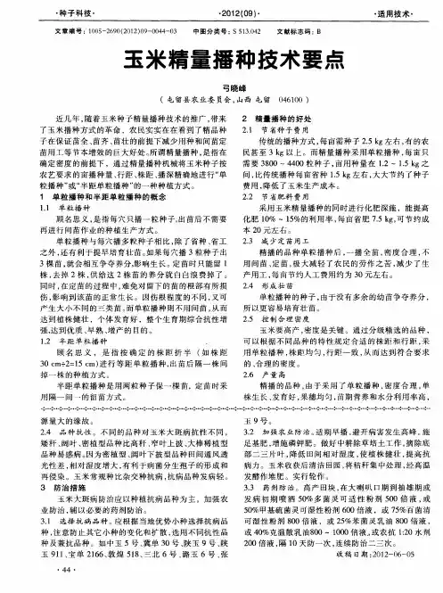 玉米精量播种技术要点