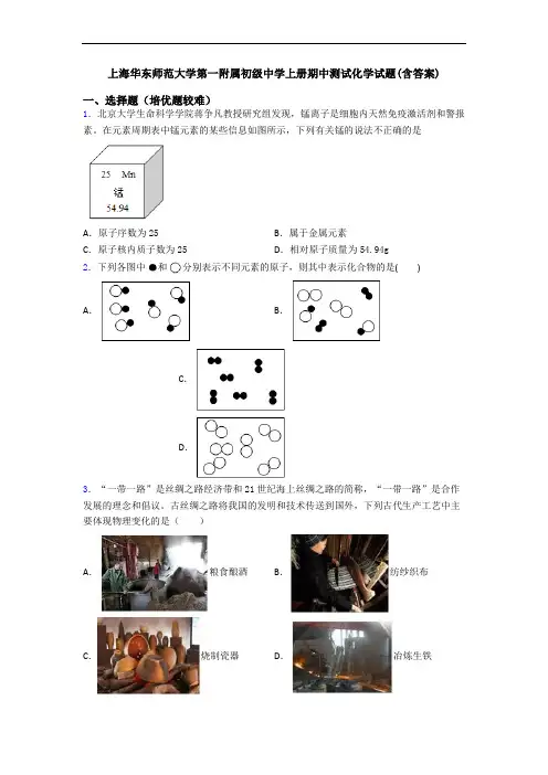 上海华东师范大学第一附属初级中学初三化学上册期中测试化学试题(含答案)