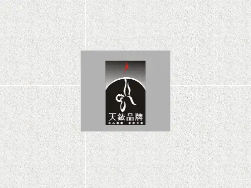 中航云岭高尔夫别墅策划案包含设计-74P