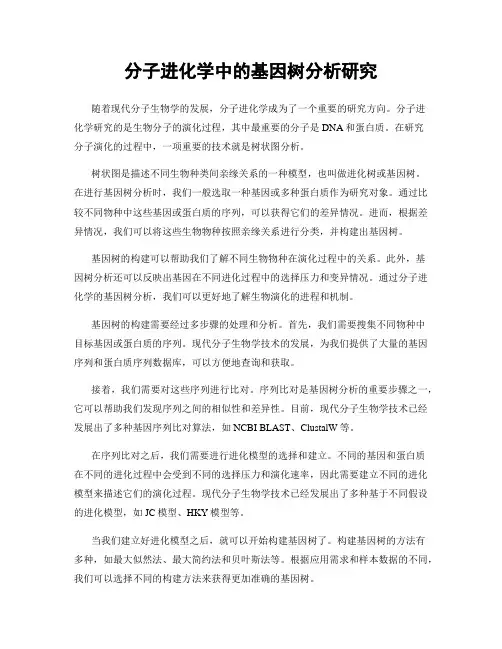 分子进化学中的基因树分析研究