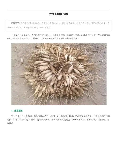 天冬的种植技术