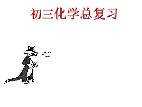 中考化学临考前点知识归纳2省公开课一等奖全国示范课微课金奖PPT课件
