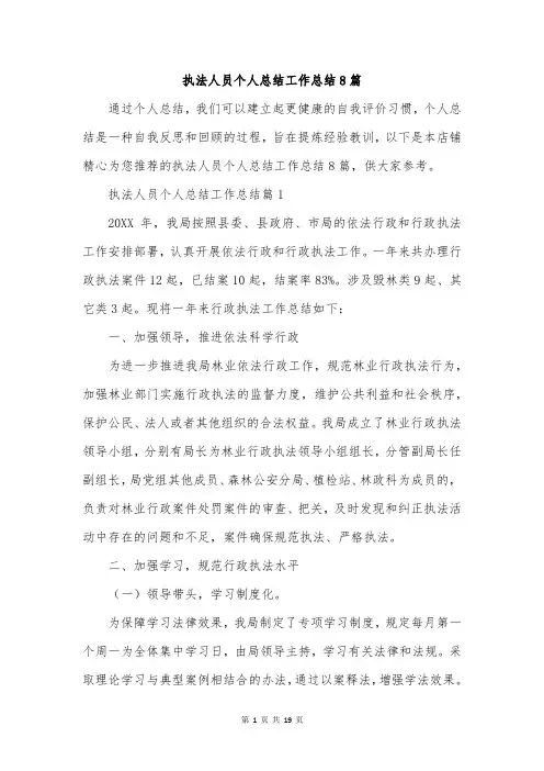 执法人员个人总结工作总结8篇