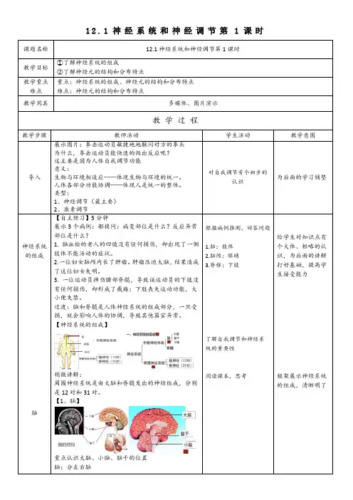 12.1 神经系统和神经调节 第1课时-2020北师大版七年级下册生物教案第12章