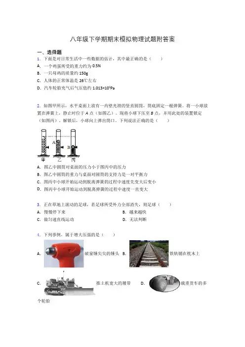 八年级下学期期末模拟物理试题附答案