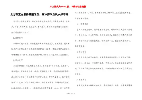 北方在室内怎样养殖米兰,家中养米兰风水好不好