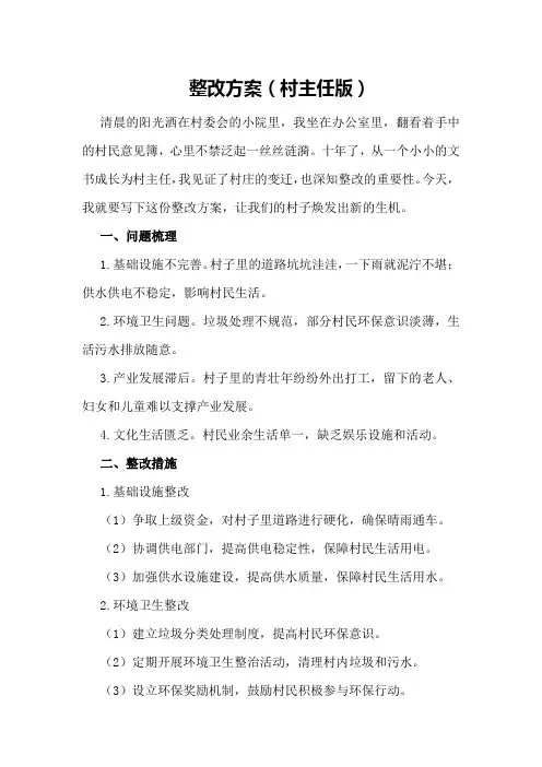 整改方案(村主任版)