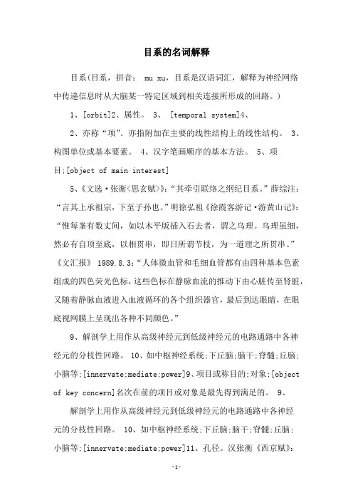 目系的名词解释