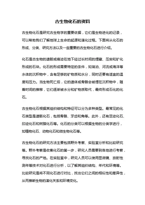 古生物化石的资料
