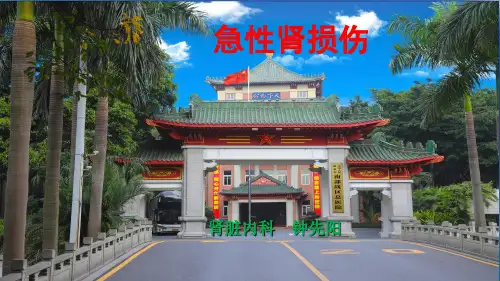 急性肾损伤PPT课件(文库推荐)