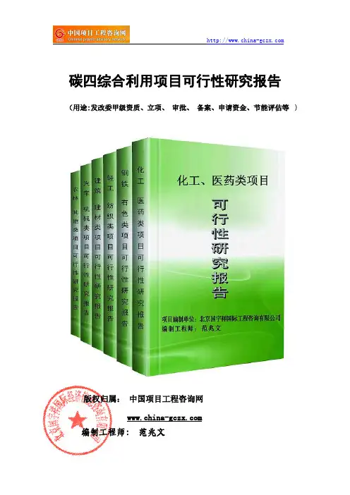 碳四综合利用项目可行性研究报告(备案案例)