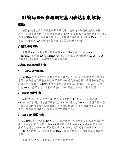 非编码RNA参与调控基因表达机制解析