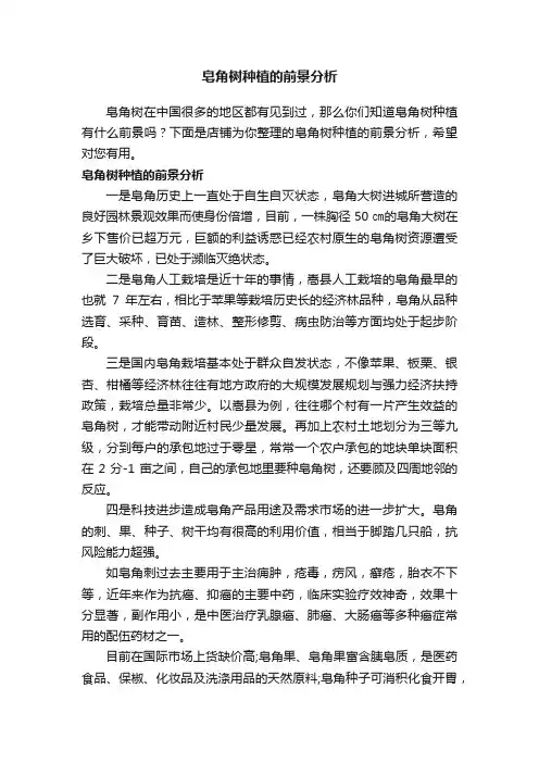 皂角树种植的前景分析