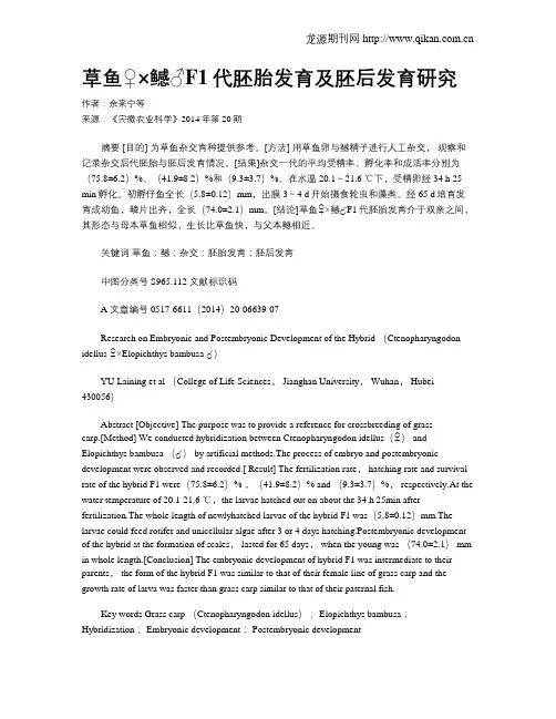 草鱼♀×鳡♂F1代胚胎发育及胚后发育研究